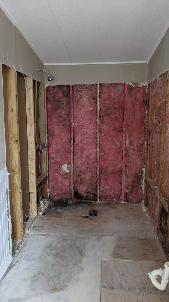 Shower, flooring and commode removed