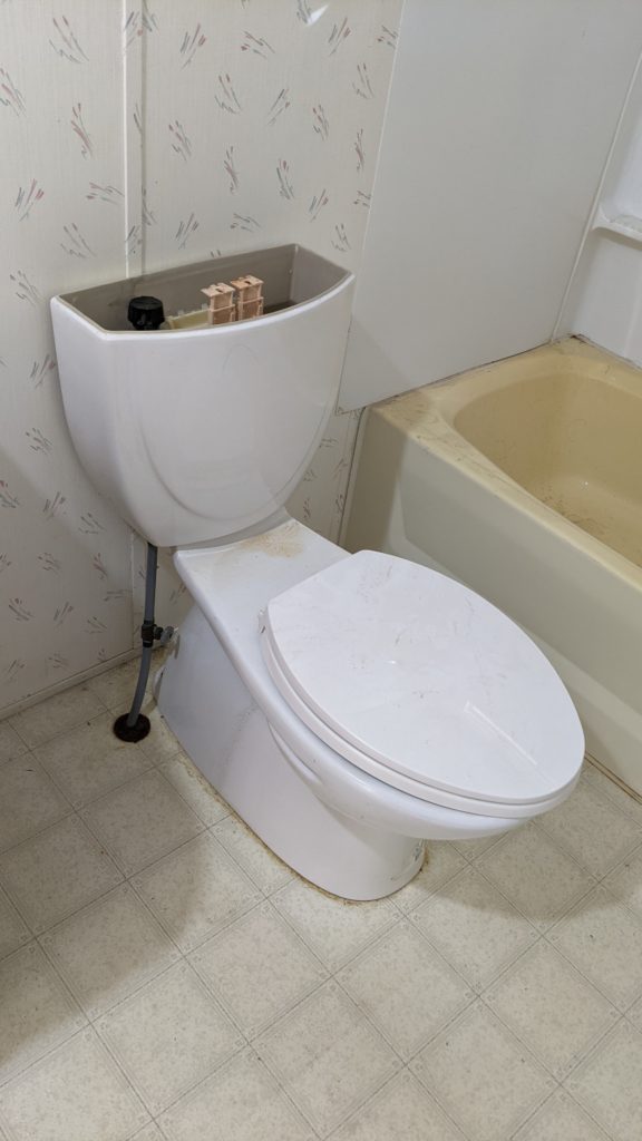 Guest bathroom toilet: lid removed