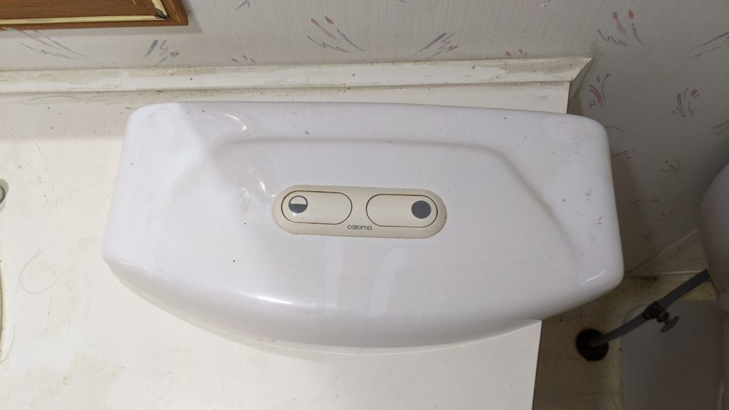 Guest bathroom toilet: lid showing different flushes